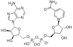 β-nicotinamidă adenin dinucleotidă