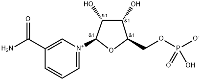 Mononucleotidă β-nicotinamidă