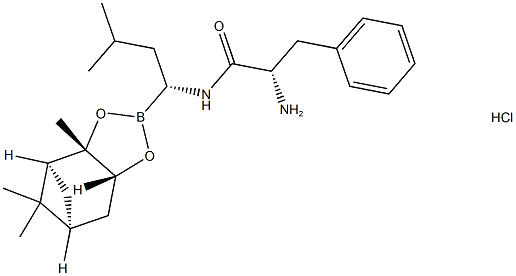 Intermediari de bortezomib II