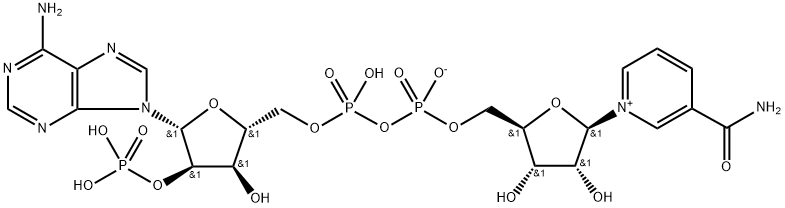 Nucleotidă trifosfopiridină